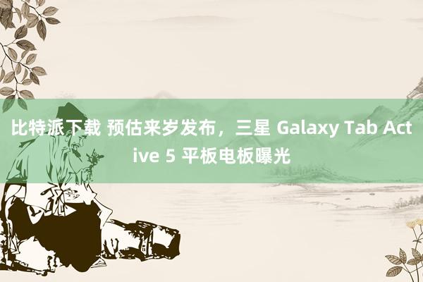 比特派下载 预估来岁发布，三星 Galaxy Tab Active 5 平板电板曝光