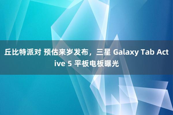 丘比特派对 预估来岁发布，三星 Galaxy Tab Active 5 平板电板曝光