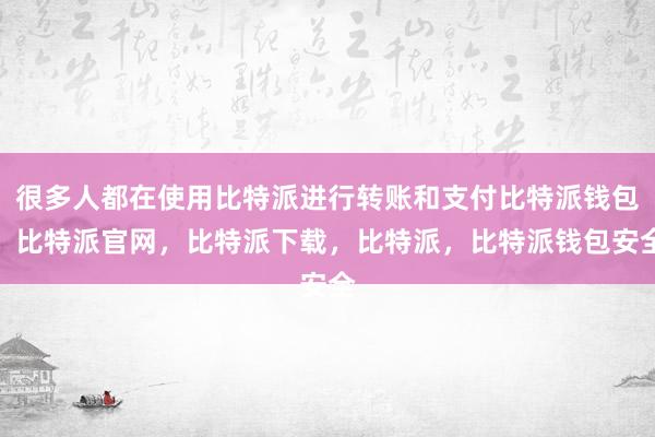 很多人都在使用比特派进行转账和支付比特派钱包，比特派官网，比特派下载，比特派，比特派钱包安全