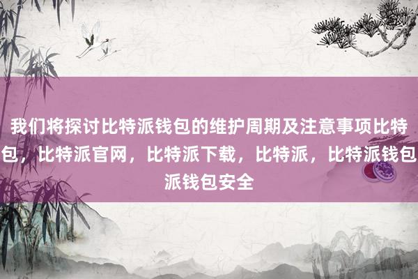 我们将探讨比特派钱包的维护周期及注意事项比特派钱包，比特派官网，比特派下载，比特派，比特派钱包安全