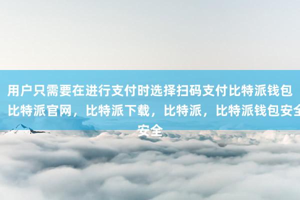 用户只需要在进行支付时选择扫码支付比特派钱包，比特派官网，比特派下载，比特派，比特派钱包安全