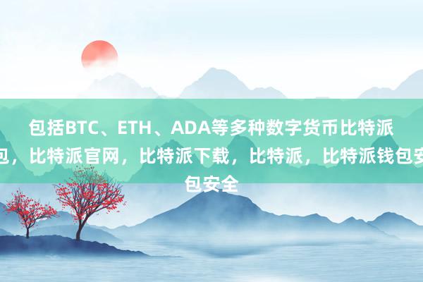 包括BTC、ETH、ADA等多种数字货币比特派钱包，比特派官网，比特派下载，比特派，比特派钱包安全