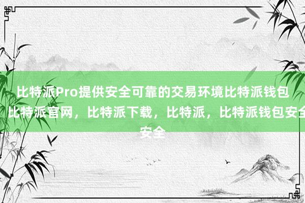 比特派Pro提供安全可靠的交易环境比特派钱包，比特派官网，比特派下载，比特派，比特派钱包安全