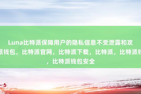 Luna比特派保障用户的隐私信息不受泄露和攻击比特派钱包，比特派官网，比特派下载，比特派，比特派钱包安全