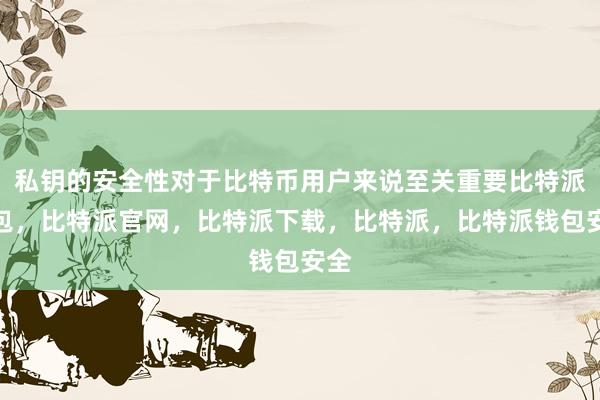 私钥的安全性对于比特币用户来说至关重要比特派钱包，比特派官网，比特派下载，比特派，比特派钱包安全