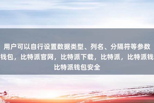 用户可以自行设置数据类型、列名、分隔符等参数比特派钱包，比特派官网，比特派下载，比特派，比特派钱包安全