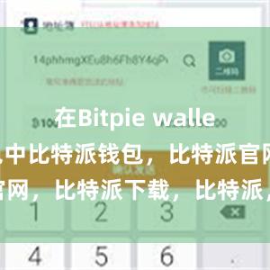 在Bitpie wallet install包中比特派钱包，比特派官网，比特派下载，比特派，比特派钱包安全