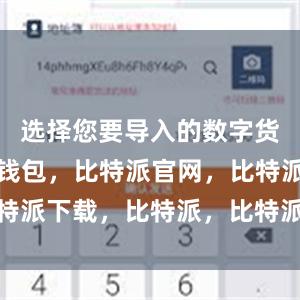 选择您要导入的数字货币比特派钱包，比特派官网，比特派下载，比特派，比特派钱包安全