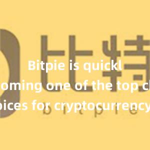 Bitpie is quickly becoming one of the top choices for cryptocurrency enthusiasts worldwide.比特派钱包，比特派官网，比特派下载，比特派，比特派钱包安全