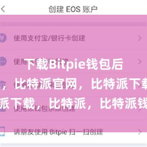 下载Bitpie钱包后比特派钱包，比特派官网，比特派下载，比特派，比特派钱包安全