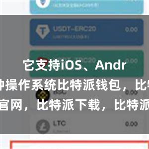 它支持iOS、Android等多种操作系统比特派钱包，比特派官网，比特派下载，比特派，比特派钱包安全